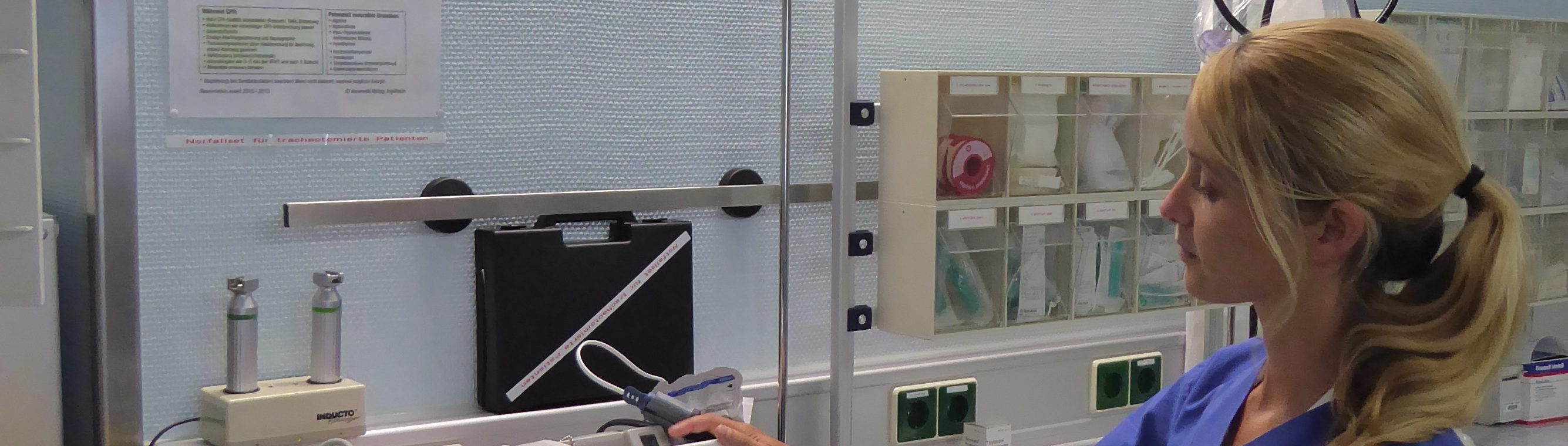 Revive Training | Alexander Guckisch